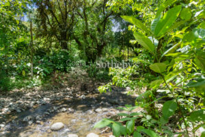 THE EMERALD SANCTUARY – PRIVATE JUNGLE VILLA WITH POOL IN OJOCHAL