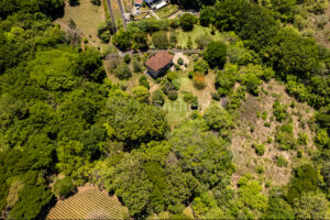 The Creek House