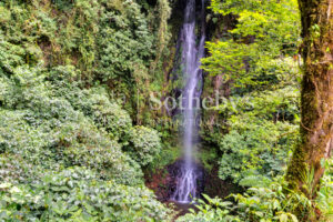1000ac conservation cloud forest with waterfalls, ecolodge, owner residence