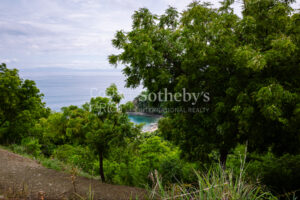 Lot 5 – A Jewel Over the Pacific – OceanView