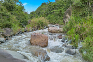 Rocka Verde Retreat