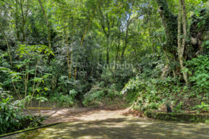 Atenas Highlands Eco Estate