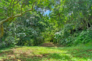 Atenas Highlands Eco Estate