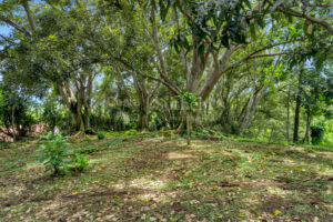 Atenas Highlands Eco Estate