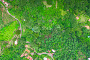 Atenas Highlands Eco Estate