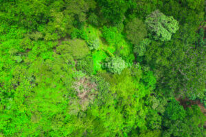 Atenas Highlands Eco Estate