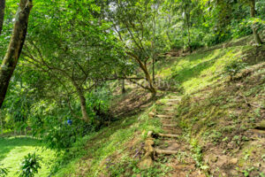 Atenas Highlands Eco Estate