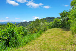 Atenas Highlands Eco Estate