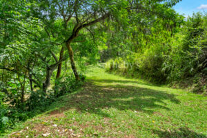 Atenas Highlands Eco Estate