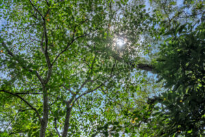 Atenas Highlands Eco Estate