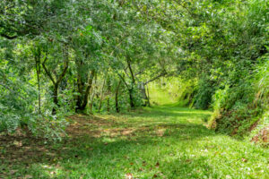 Atenas Highlands Eco Estate