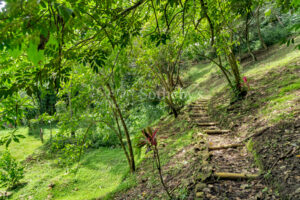 Atenas Highlands Eco Estate