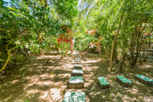Nosara River Sanctuary