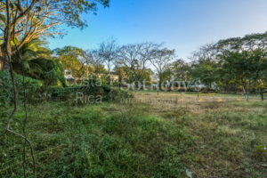 Sunrise Premium Commercial Lot