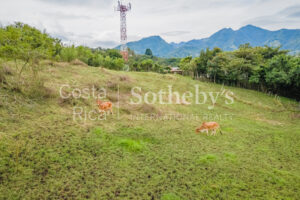 Land in San Rafael Escazú