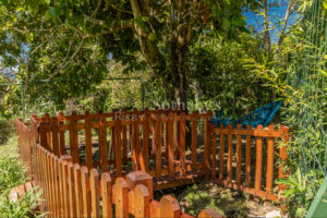 Wilderness Retreat in the Mountain