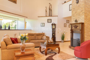 Wilderness Retreat in the Mountain