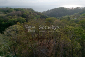 Idyllic Ocean View Lot in the Hills of Hermosa