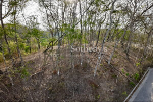 Idyllic Ocean View Lot in the Hills of Hermosa