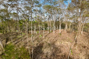 Idyllic Ocean View Lot in the Hills of Hermosa