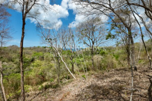 Idyllic Ocean View Lot in the Hills of Hermosa