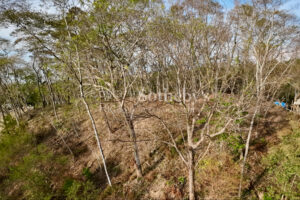 Idyllic Ocean View Lot in the Hills of Hermosa