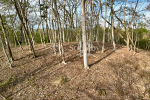 Idyllic Ocean View Lot in the Hills of Hermosa