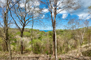 Idyllic Ocean View Lot in the Hills of Hermosa