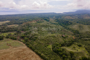 Ocean and River Views in Pristine South Costa Rica