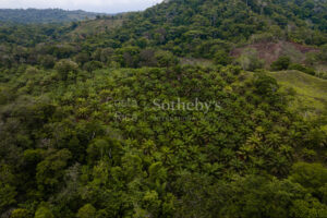 Ocean and River Views in Pristine South Costa Rica