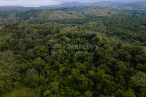 Ocean and River Views in Pristine South Costa Rica