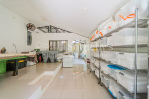 Pueblo Verde @ Punta Islita