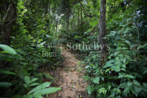 300ha Conservation of Tropical Rainforest