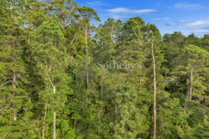 San Miguel Heights
