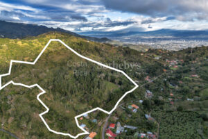 San Miguel Heights