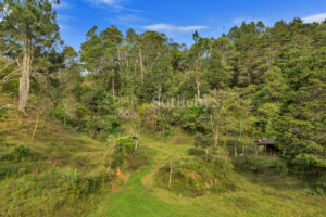 San Miguel Heights