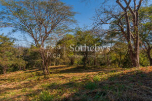 Luxury Residential Lot