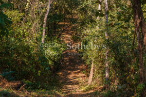 Luxury Residential Lot