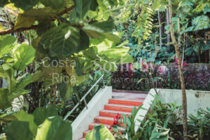 Condo Las Flores Poinciana B