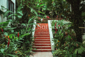 Condo Las Flores Poinciana B