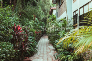 Condo Las Flores Poinciana B