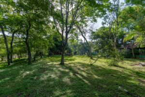 Mixed Use Front Road Marbella