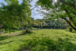 Mixed Use Front Road Marbella