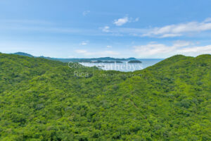 Impresionantes 38ha Zapotal Discovery y Las Catalinas, Guanacaste