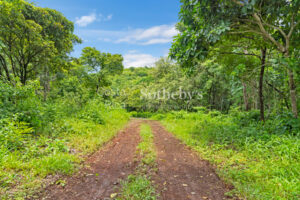Impresionantes 38ha Zapotal Discovery y Las Catalinas, Guanacaste