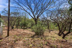 1/4 acre Esperanza Residential lot, with water availability letter