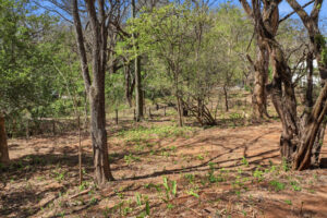 1/4 acre Esperanza Residential lot, with water availability letter