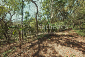 A-36-A Walking Distance to Pelada and the Boca