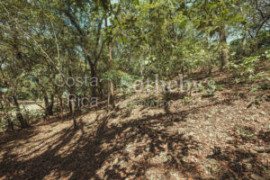 A-36-A Walking Distance to Pelada and the Boca