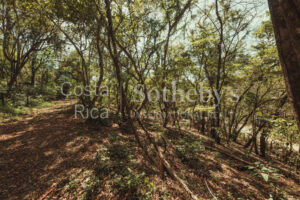 A-36-A Walking Distance to Pelada and the Boca
